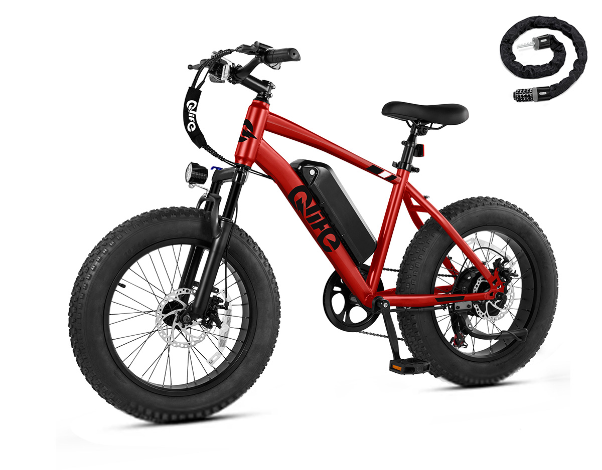 Qlife Racer Fat Tire Electric Bike, 48V 750W Adult Beach Snow E-Bike US Wholesale MOQ 1