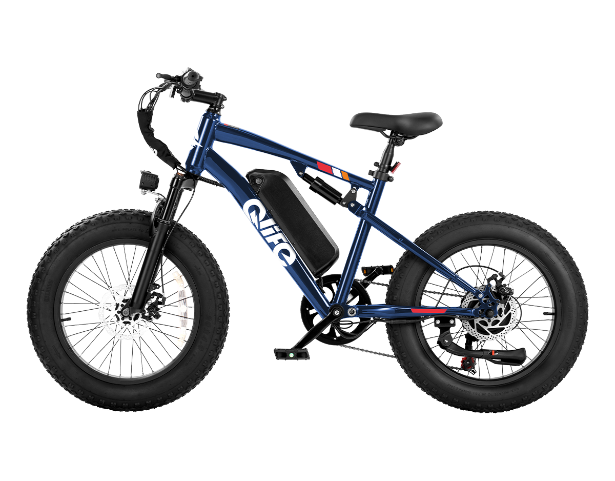 Racer 2.0 20x4.0 Fat Tire Electric Bike, 48V 750W Peak 1200W Adult Beach Snow E-Bike US Wholesale MOQ 1
