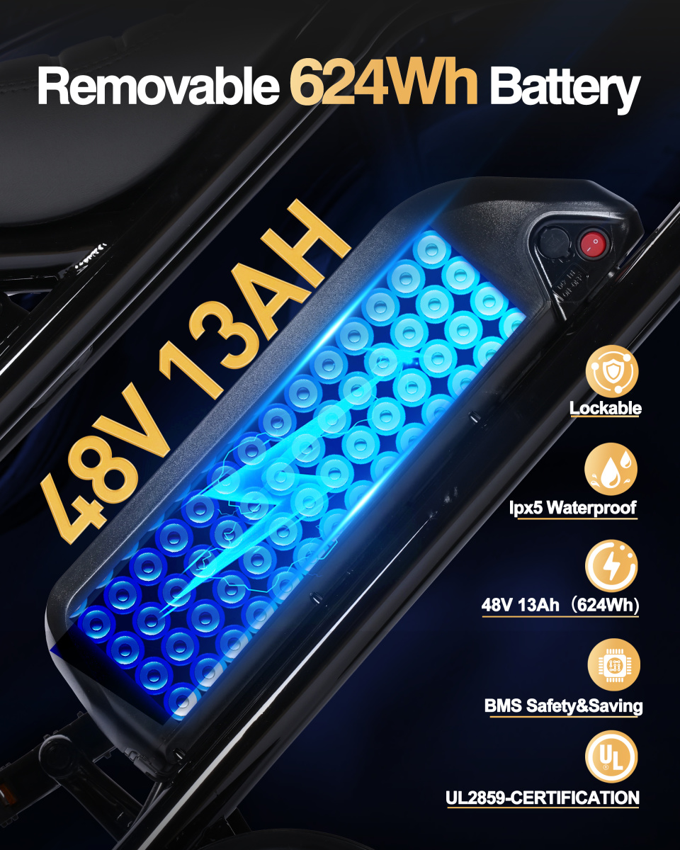 48V 15.6Ah Certified Removable Battery