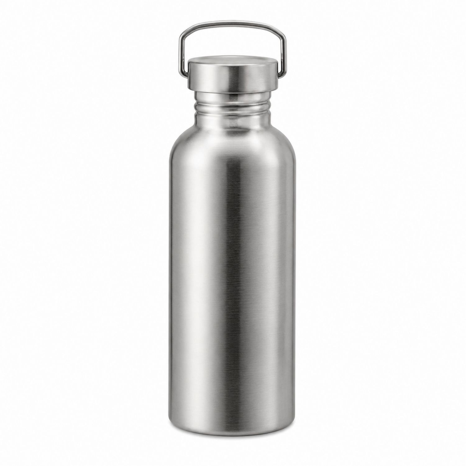 Trinkflasche 750ml Silber mit Griff