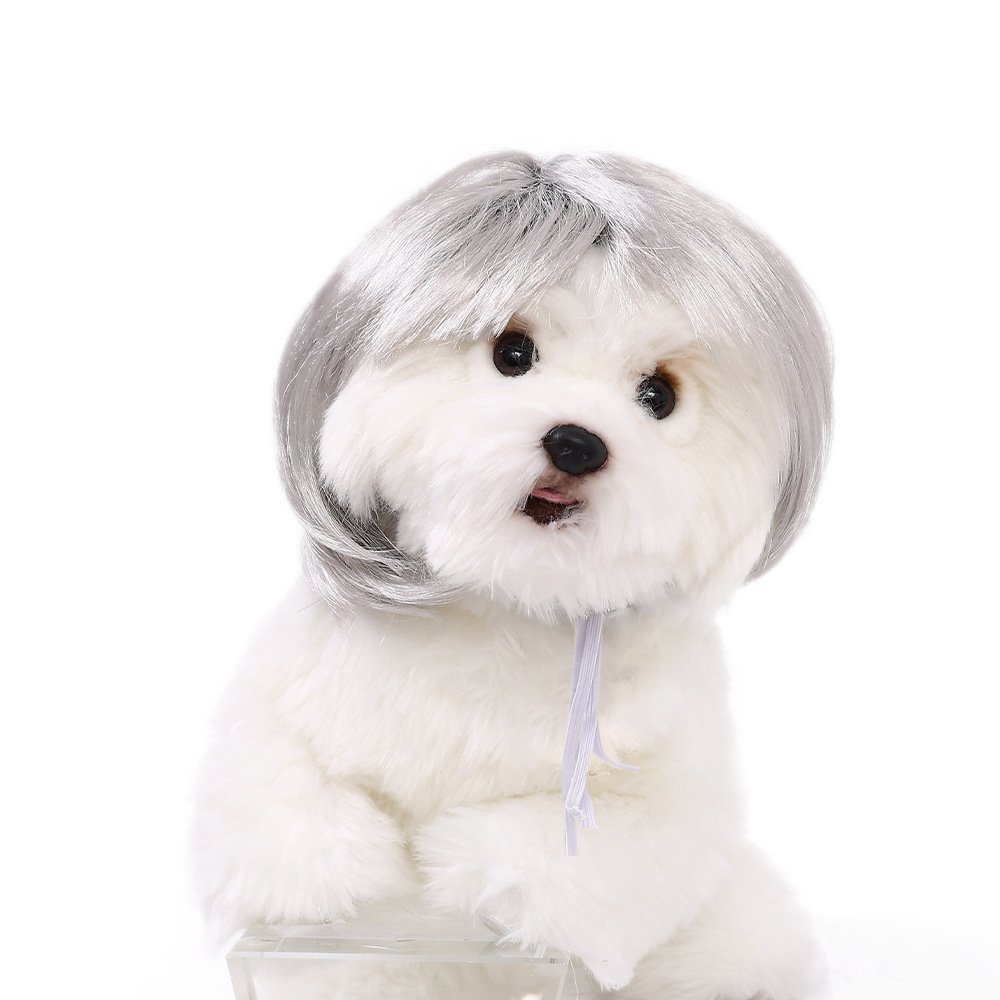 wig