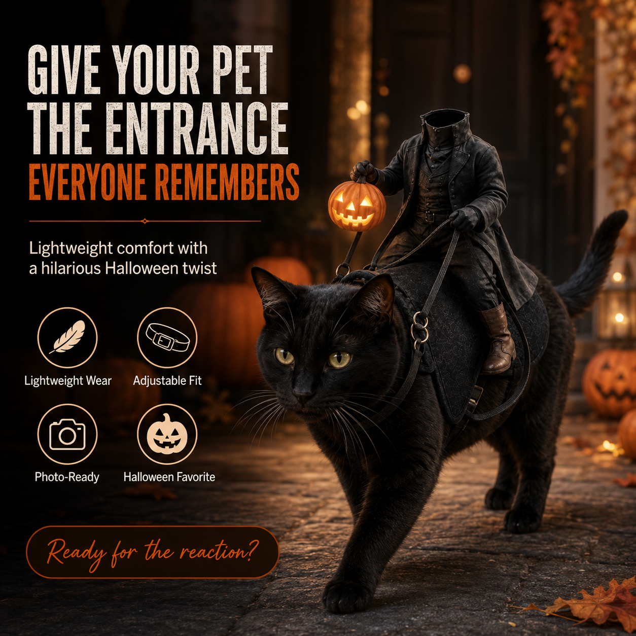 😺The Headless Horseman Ride Pet Costume🎃