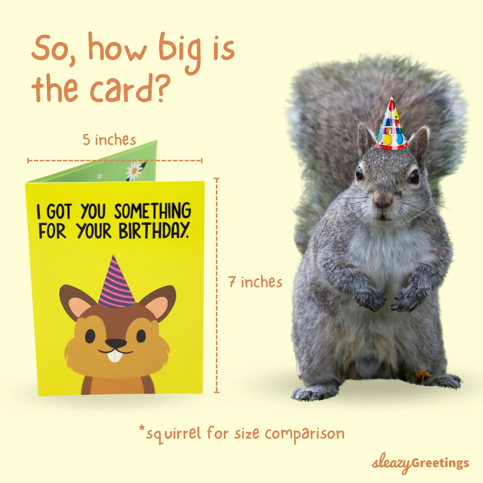 Sleazy Greetings Humorous Birthday Card, Office Stationery Cartoon & Playful Greeting Card, Sleazy Theme for Him/Her, Ideal for Birthday Wishes, Cartoon Greeting Cards, Playful Greeting Cards