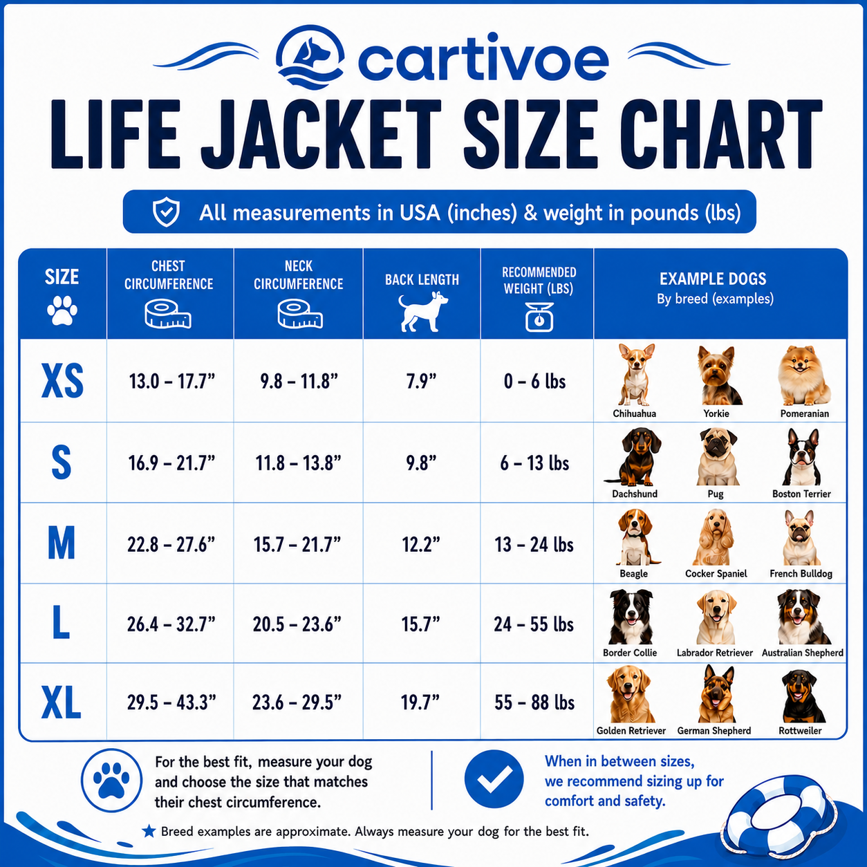 🐝 Bee Pet Life Jacket 🛟 | Cute High-Visibility Dog Flotation Vest for Water Adventures 🌊