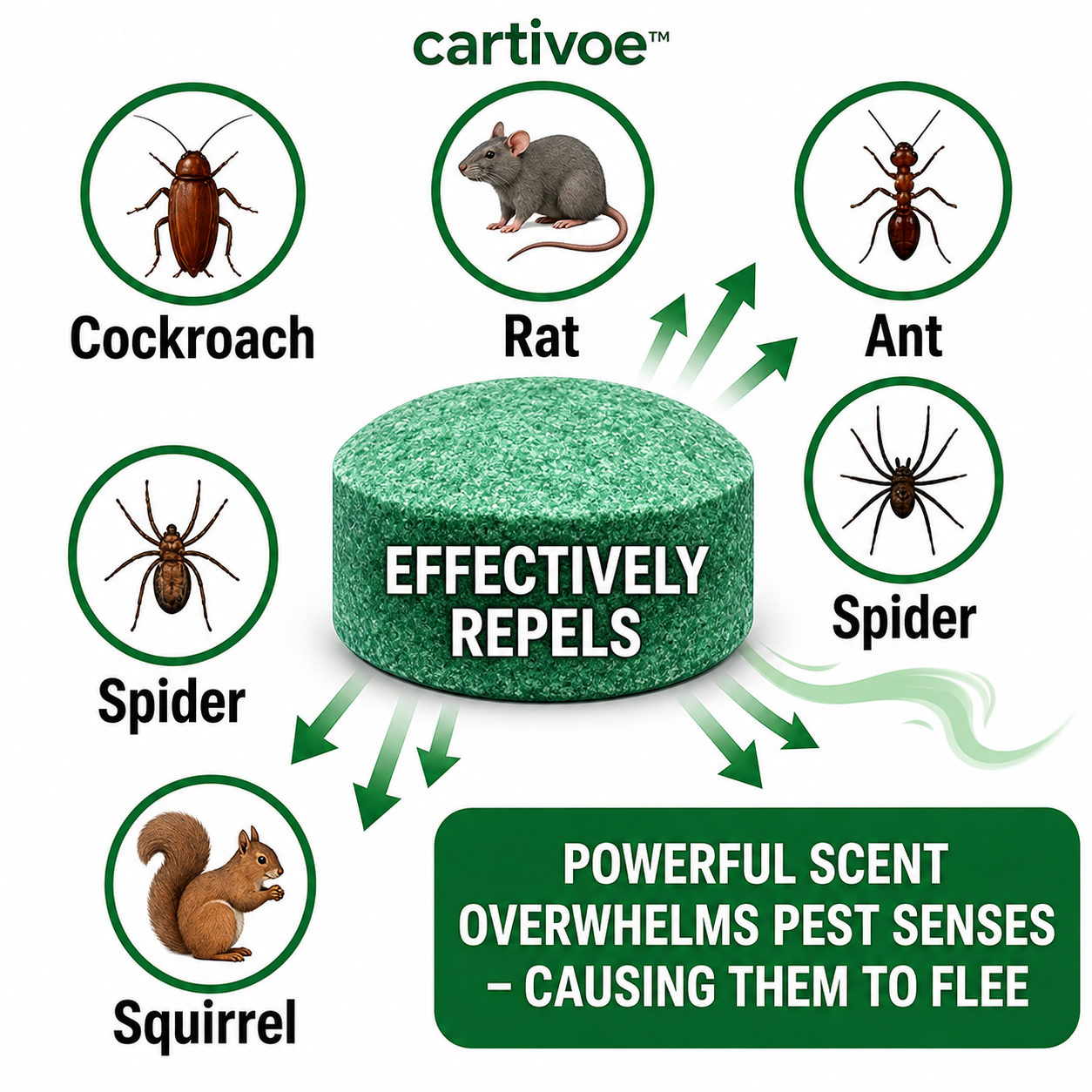 Natural Rodent Repellent Balls ,Effectively eliminates rodent pests Long-lasting effectiveness