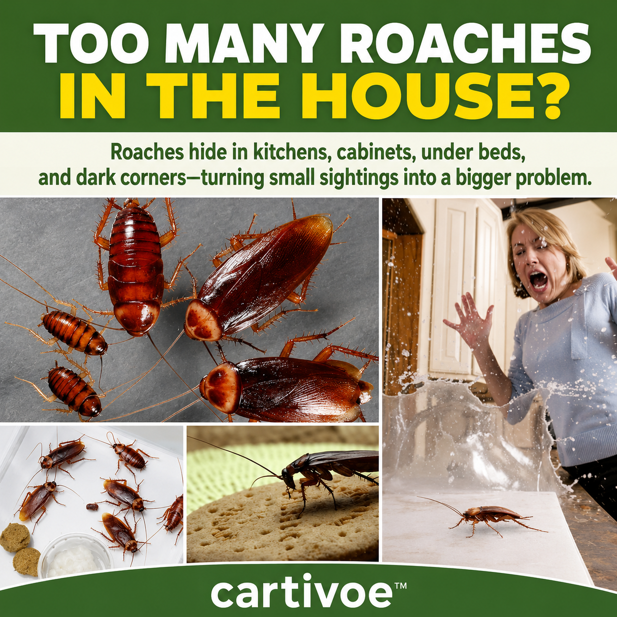 🪳 Cartivoe™ Roach Repellent – 12PCS Discreet Indoor Cockroach Control for Kitchens, Cabinets & Hidden Areas 🏠