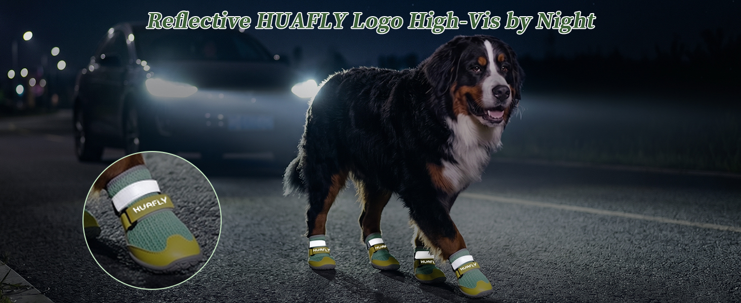 dog boot