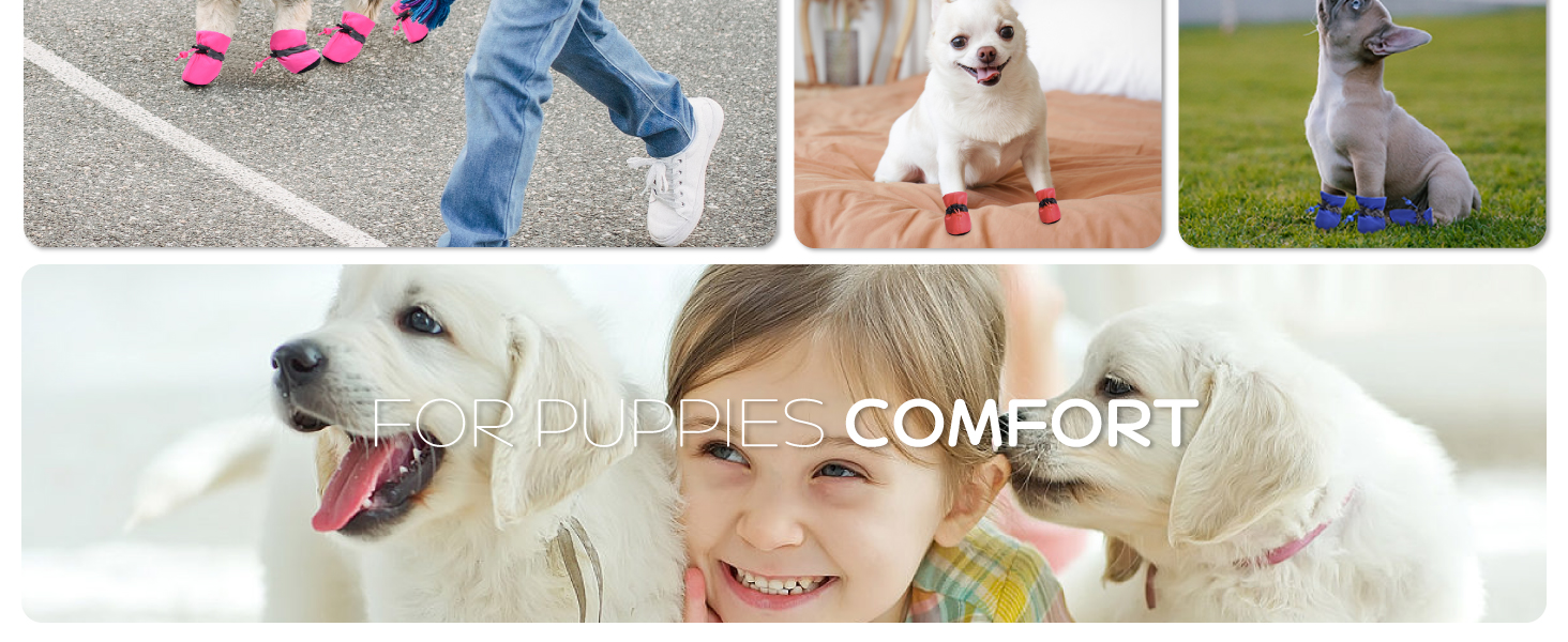 dog booties