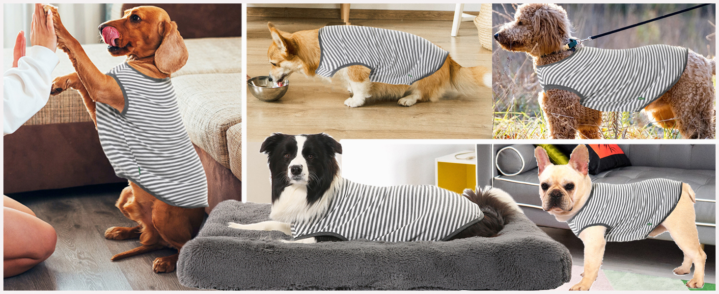 dog shirt for small medium dogs