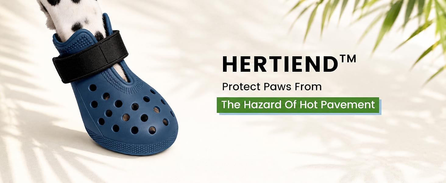 dog shoes