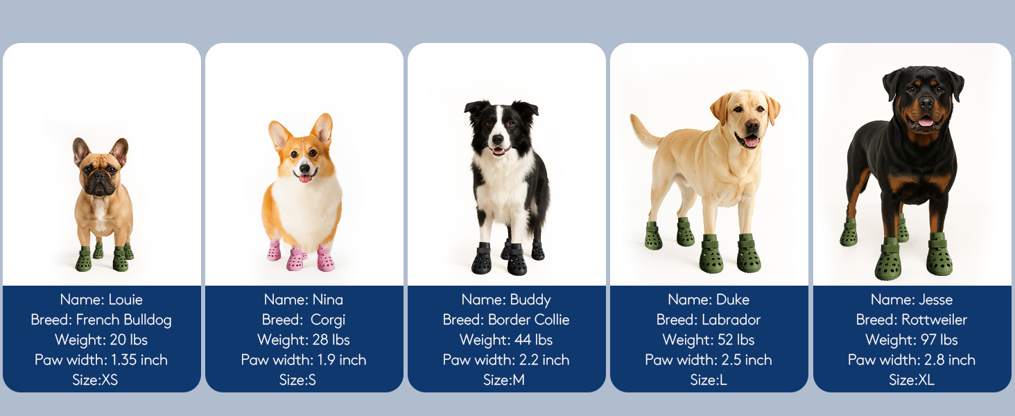 small dog booties