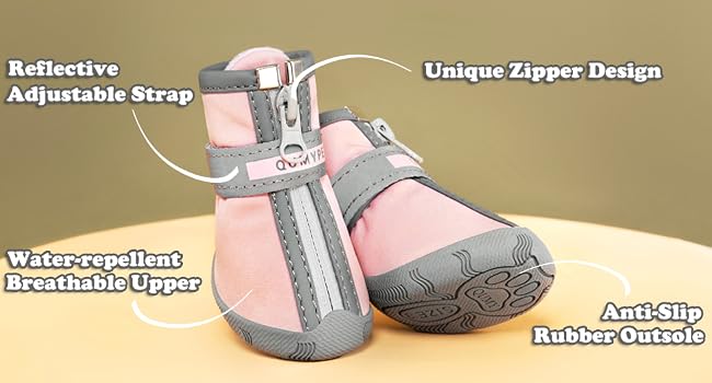 dog shoes for small dogs