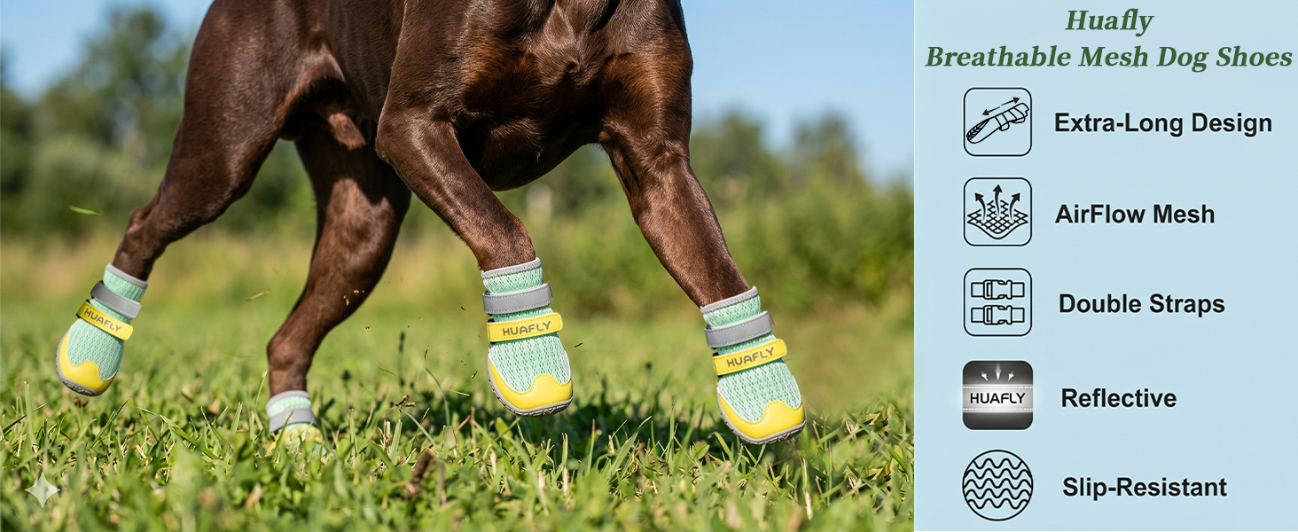 Huafly Breathable Mesh Dog Shoes