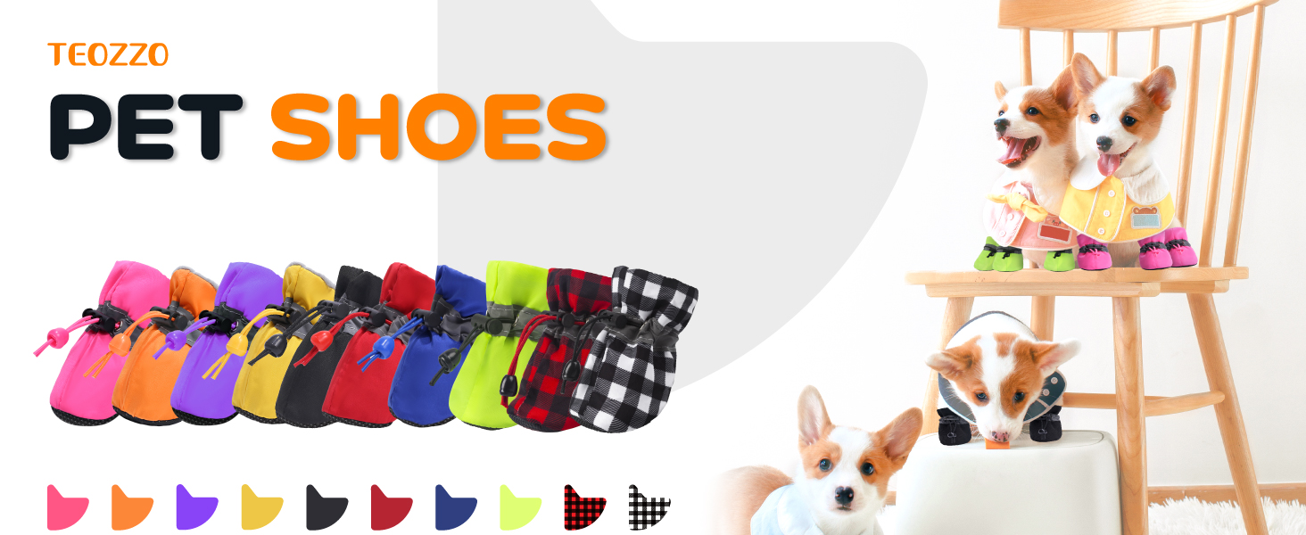 dog boots