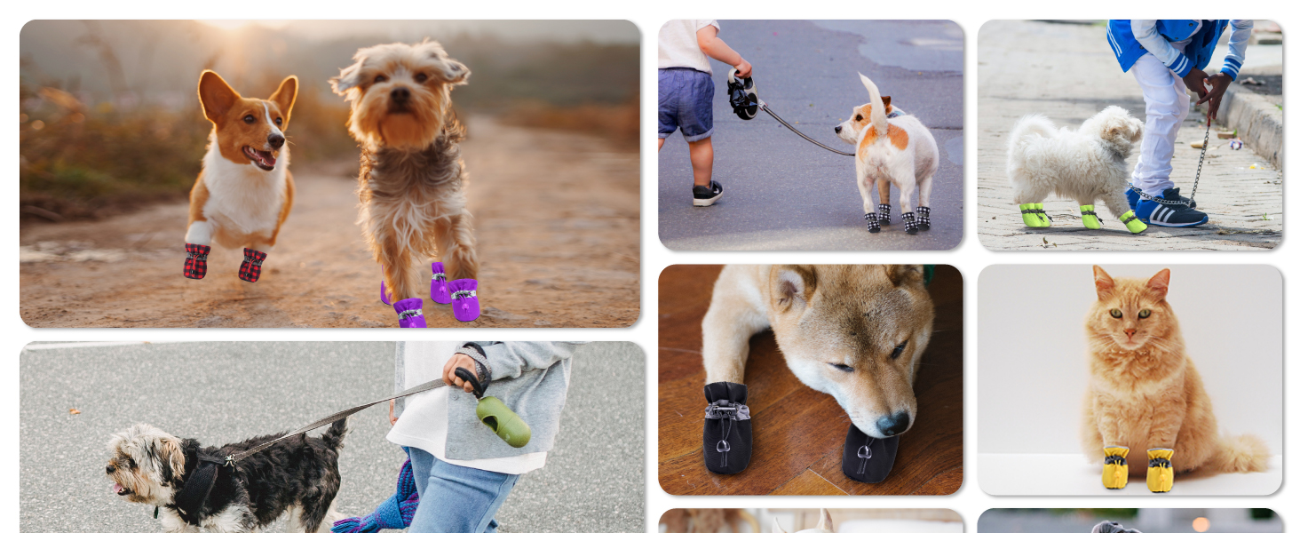 dog shoes for small dogs
