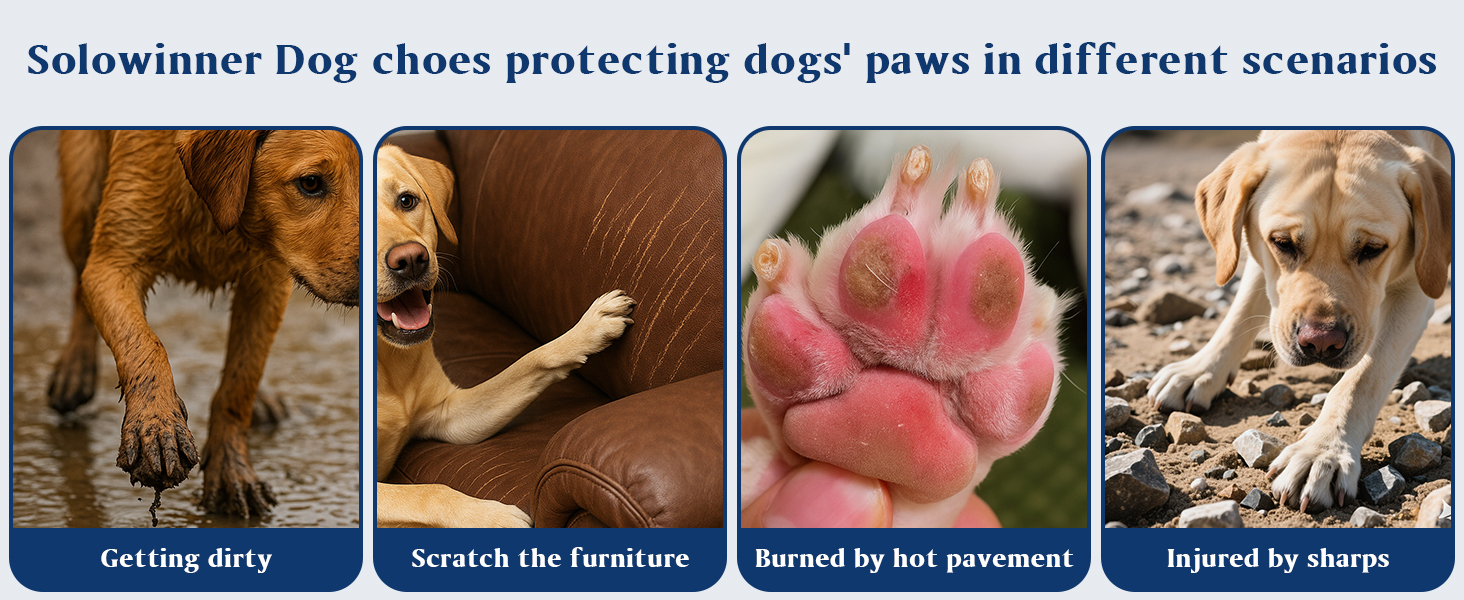 dog booties &amp;amp; paw protectors