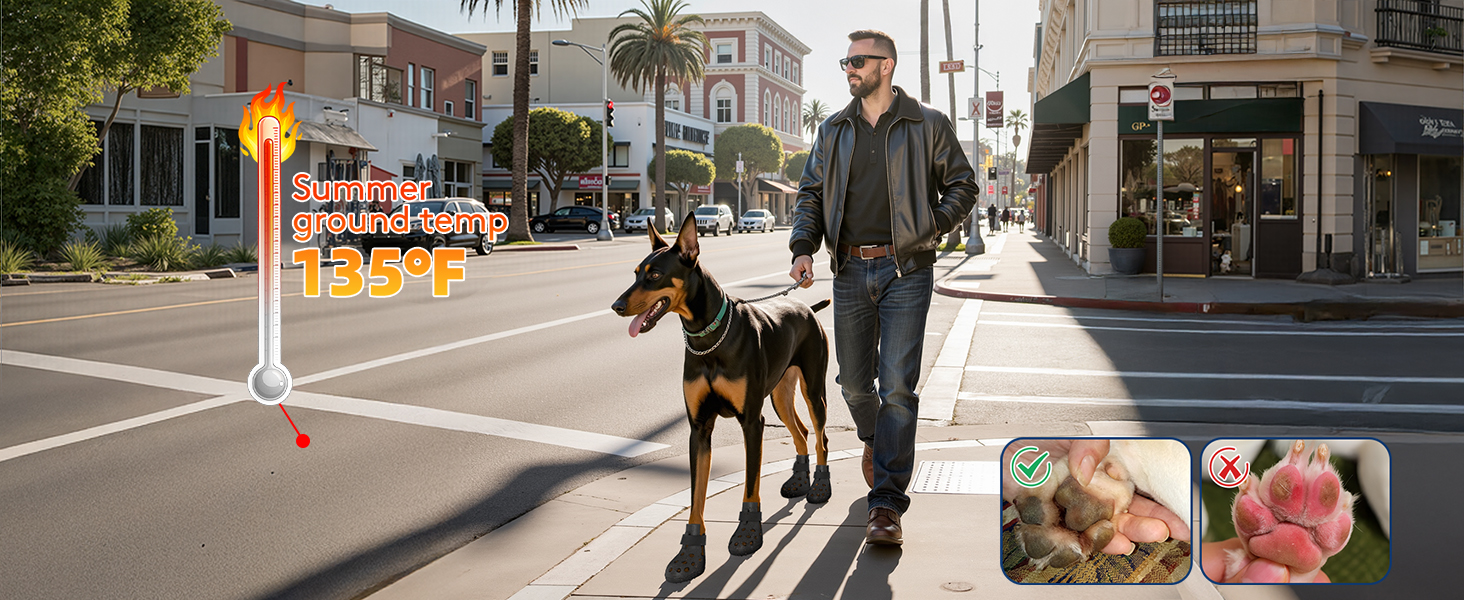 shoes for dogs for hot pavement