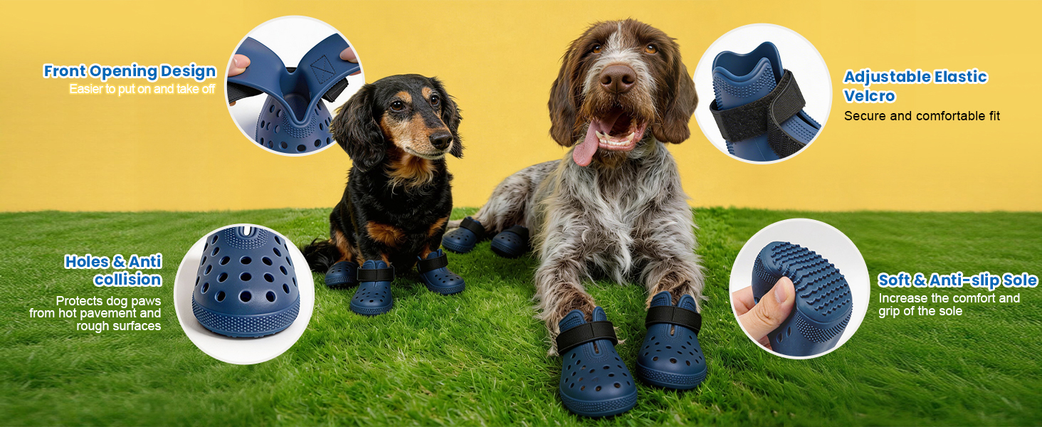 Dog shoes