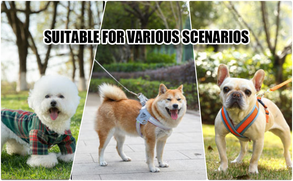 Summer Breathable Dog Shoes