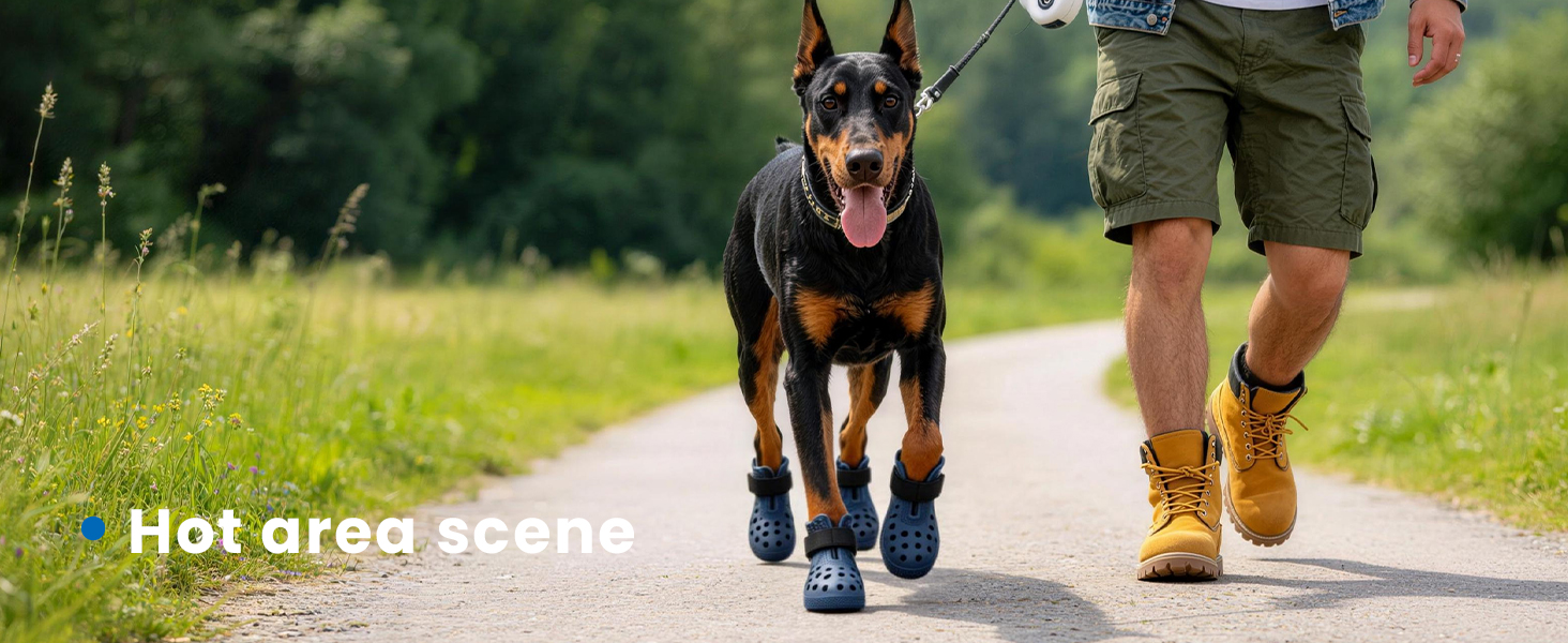 dog shoes