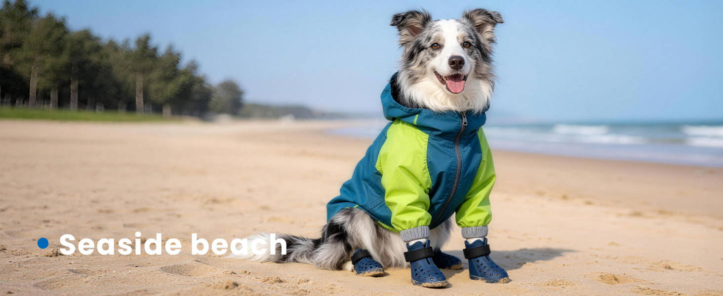 dog shoes