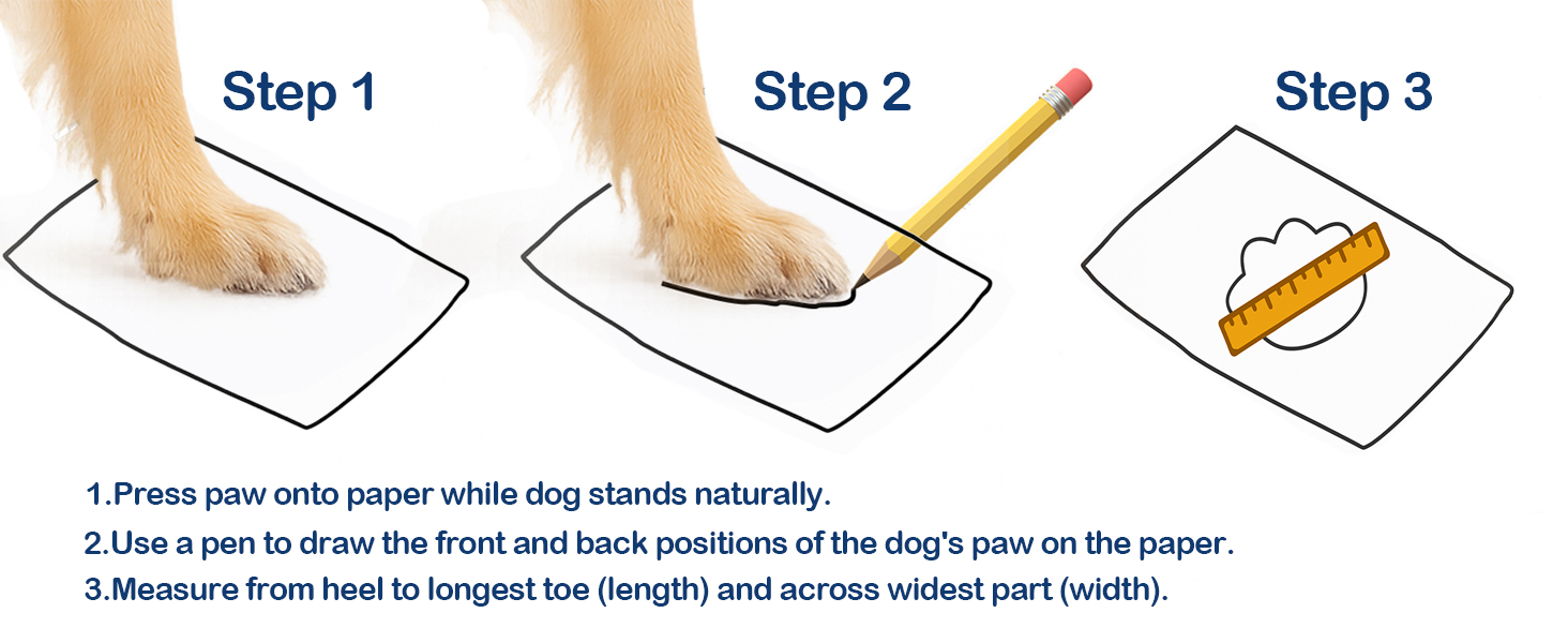 dog shoes