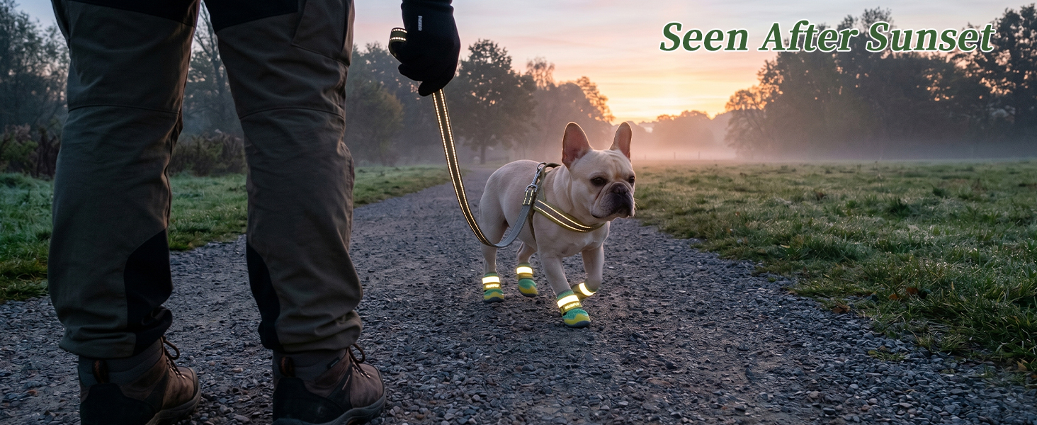 dog shoes for hot pavement