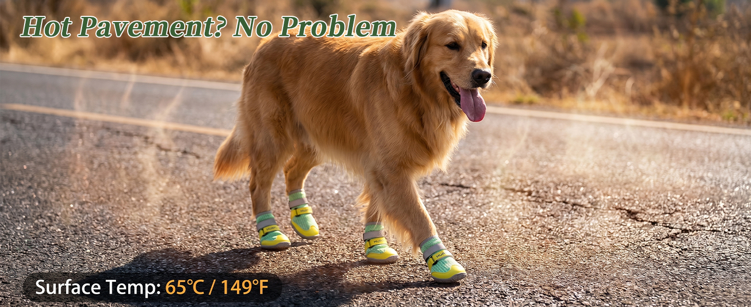 dog boots