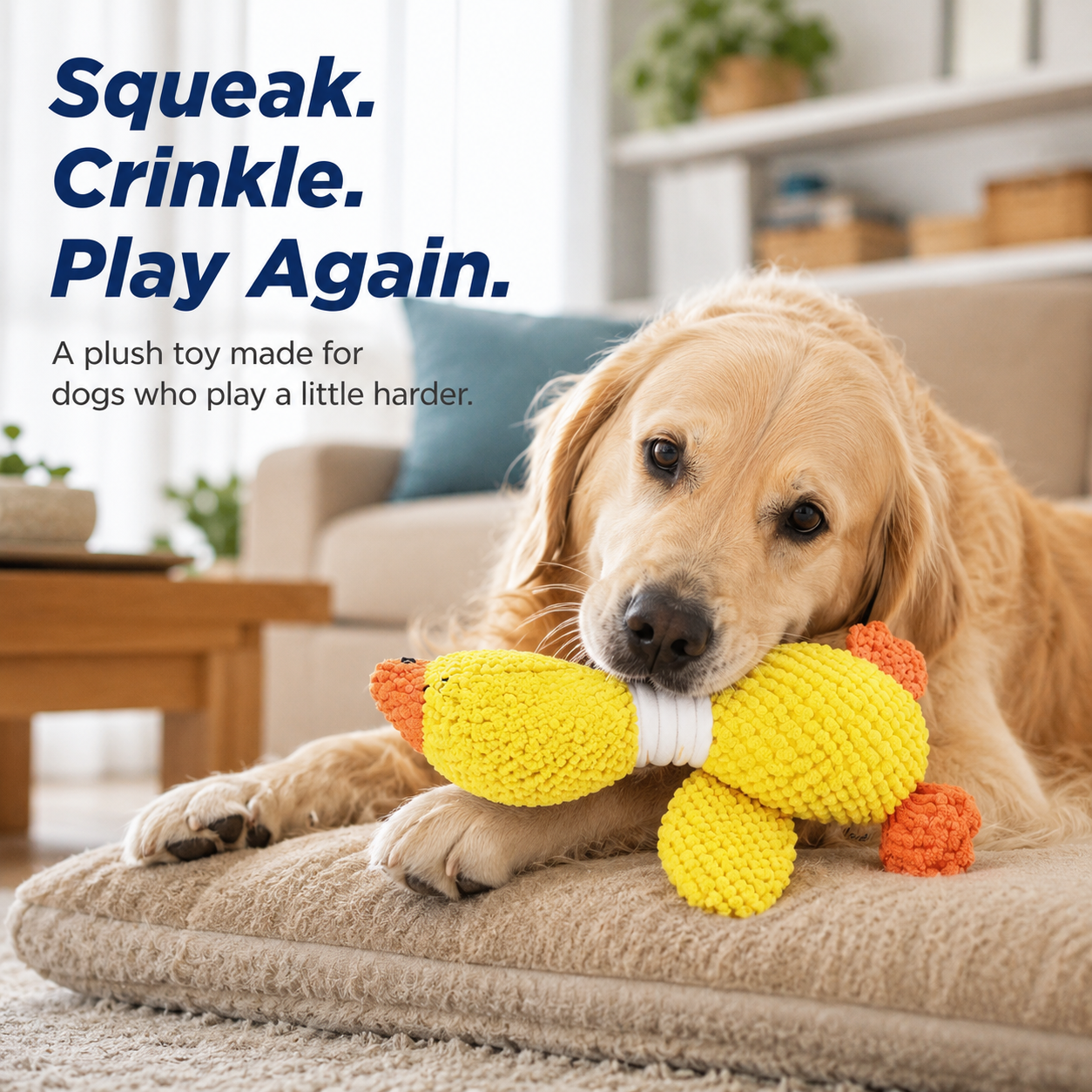 Reinforced Squeaky & Crinkle Plush Dog Toy