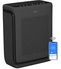 Large-room home air purifier
