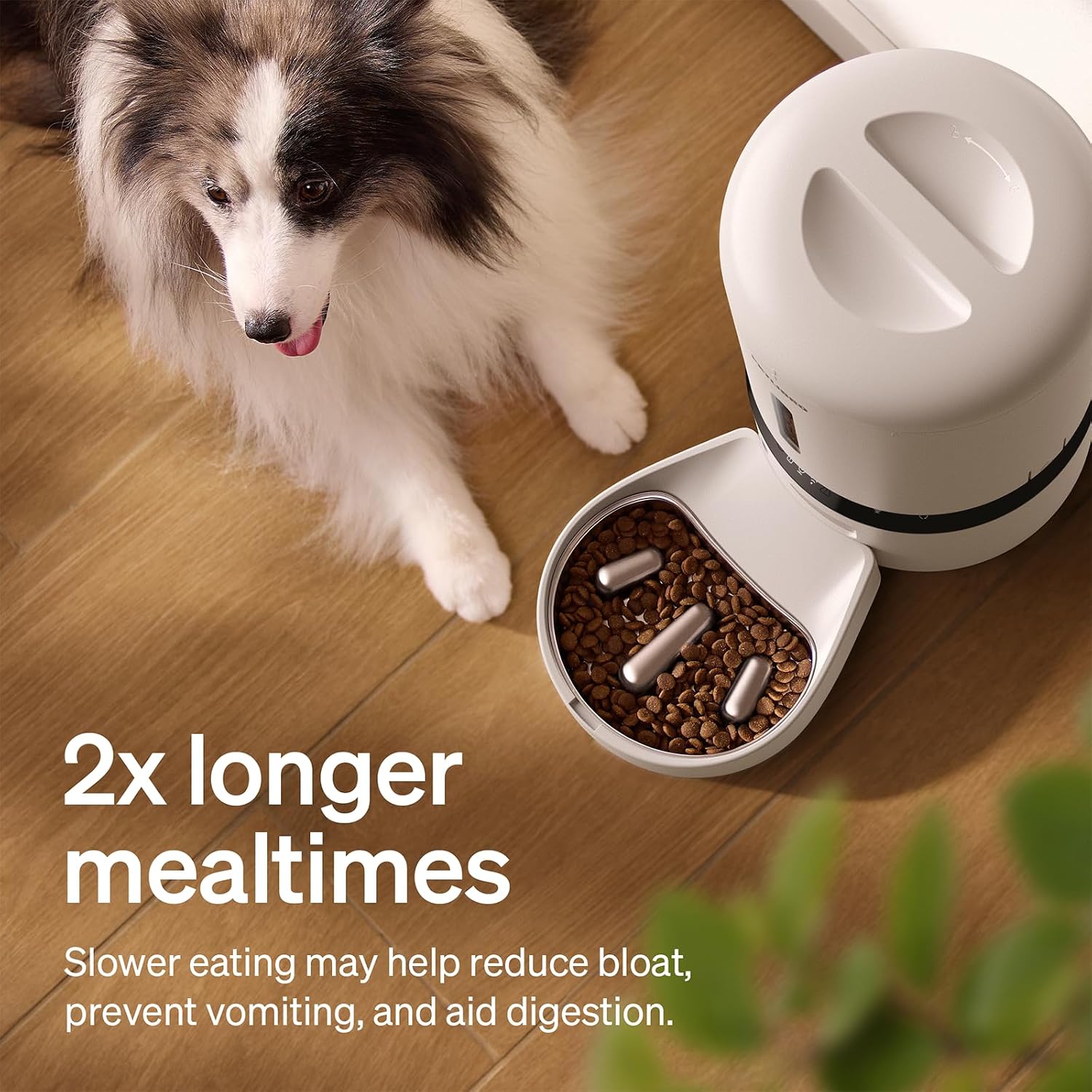 Automatic Pet Feeder