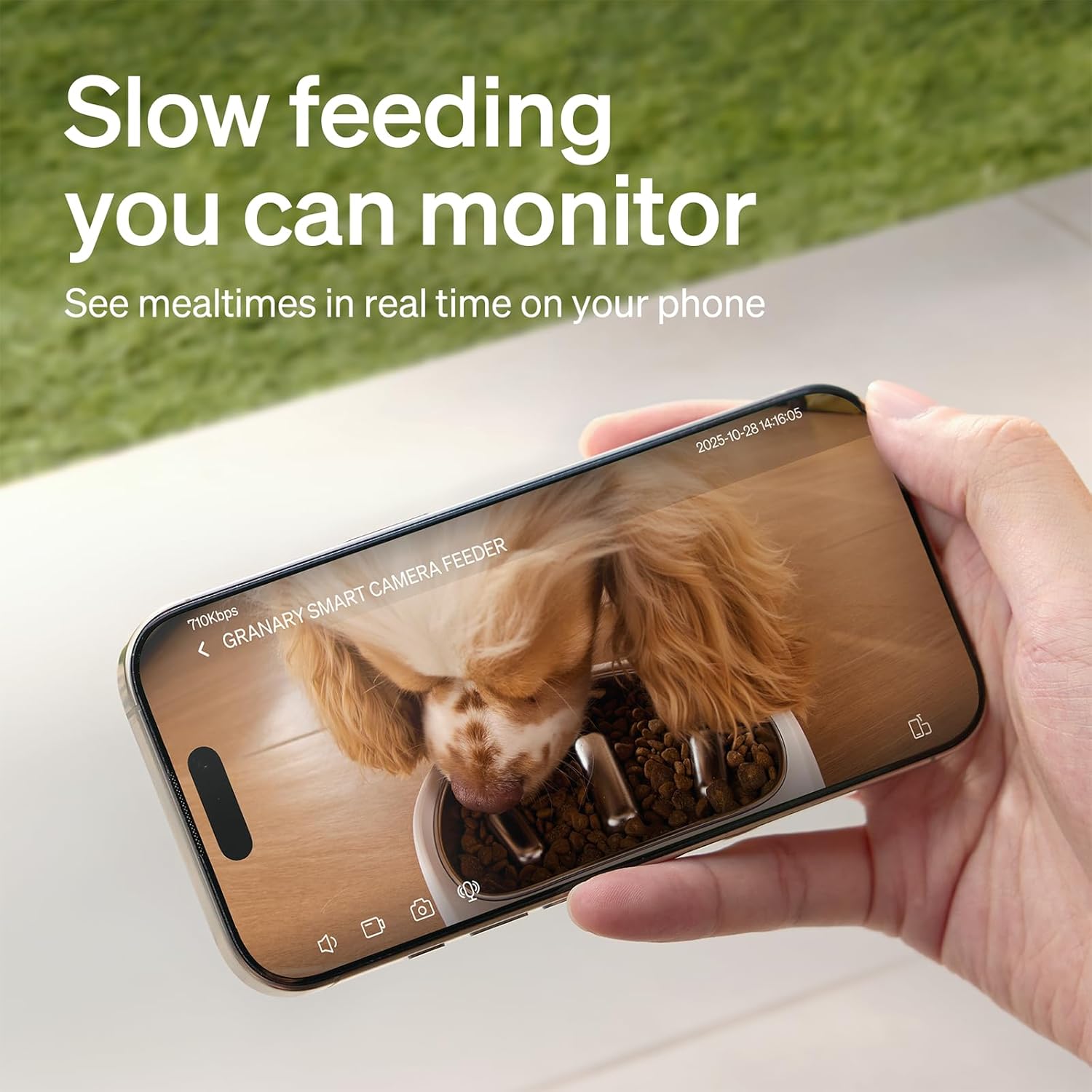 Automatic Pet Feeder