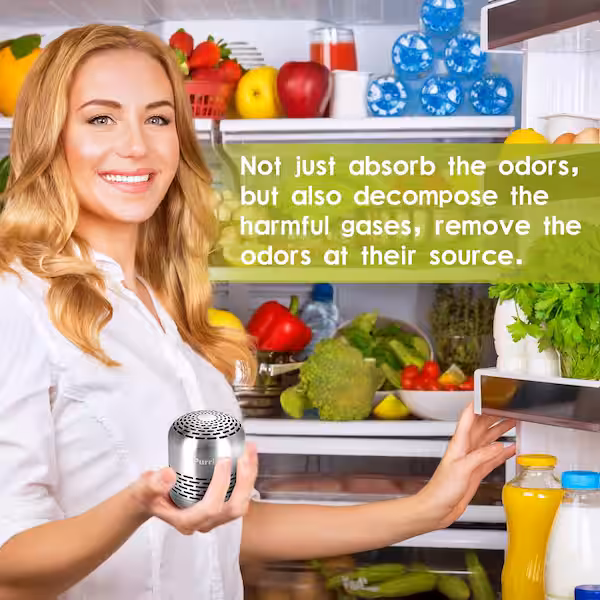 Refrigerator Odor Eliminator