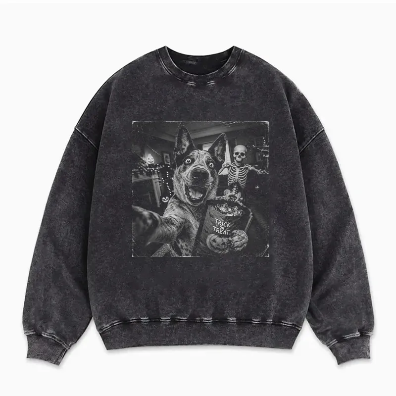 Scared Australian Cattle Dog Sweatshirt