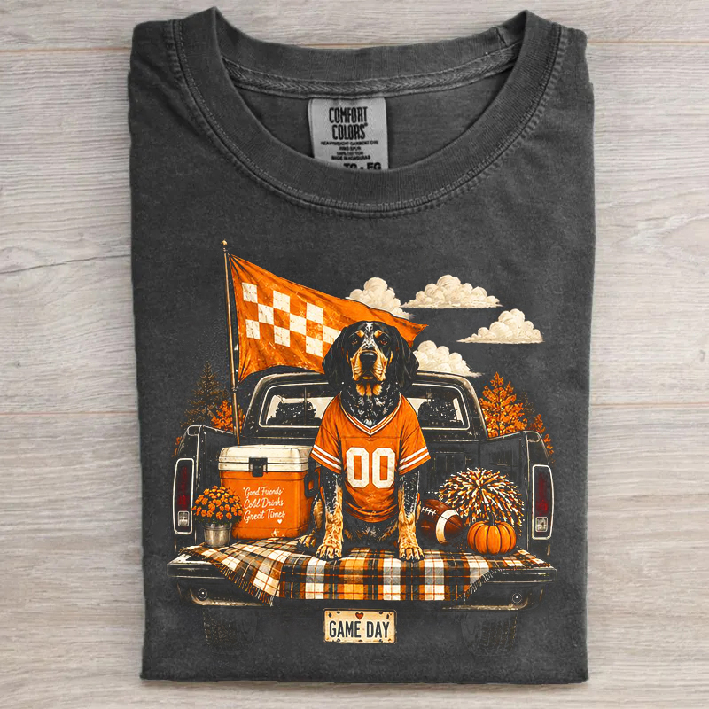 Rocky top Tennessee T-shirt