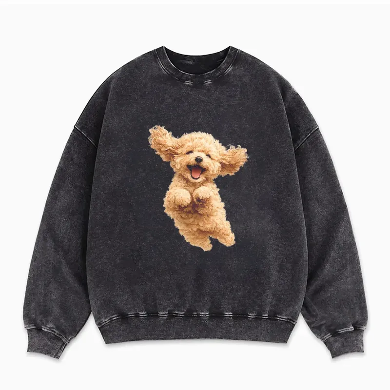 Adorable Brown Toy Poodle Sweatshirt