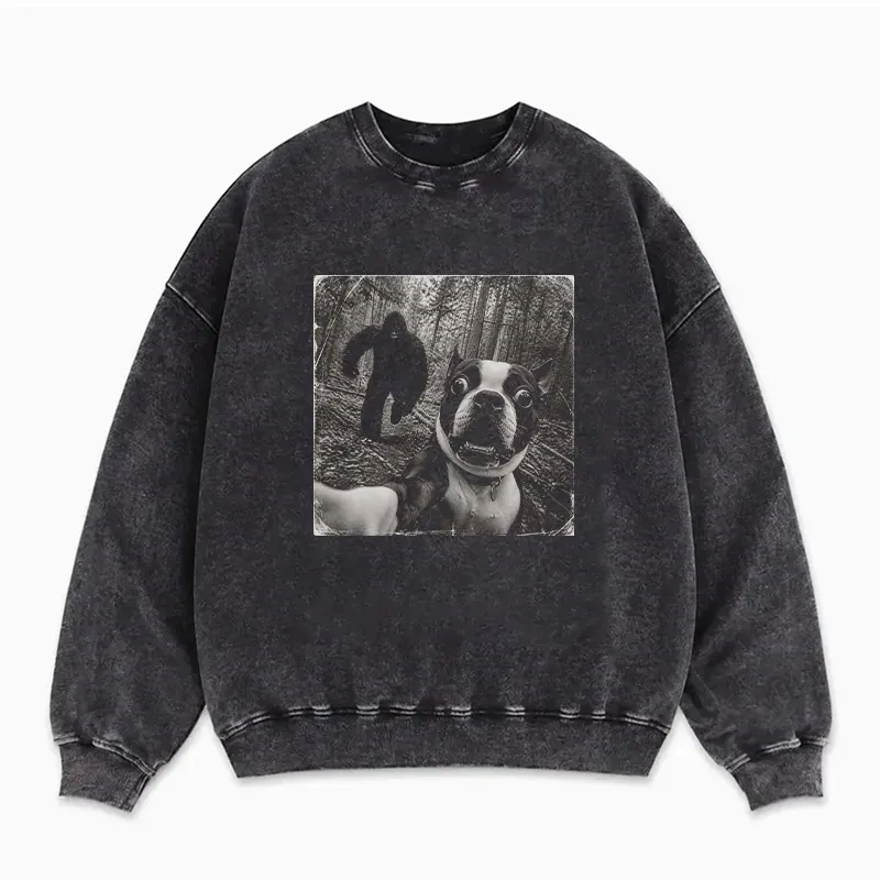 Funny Boston Terrier Sweatshirt