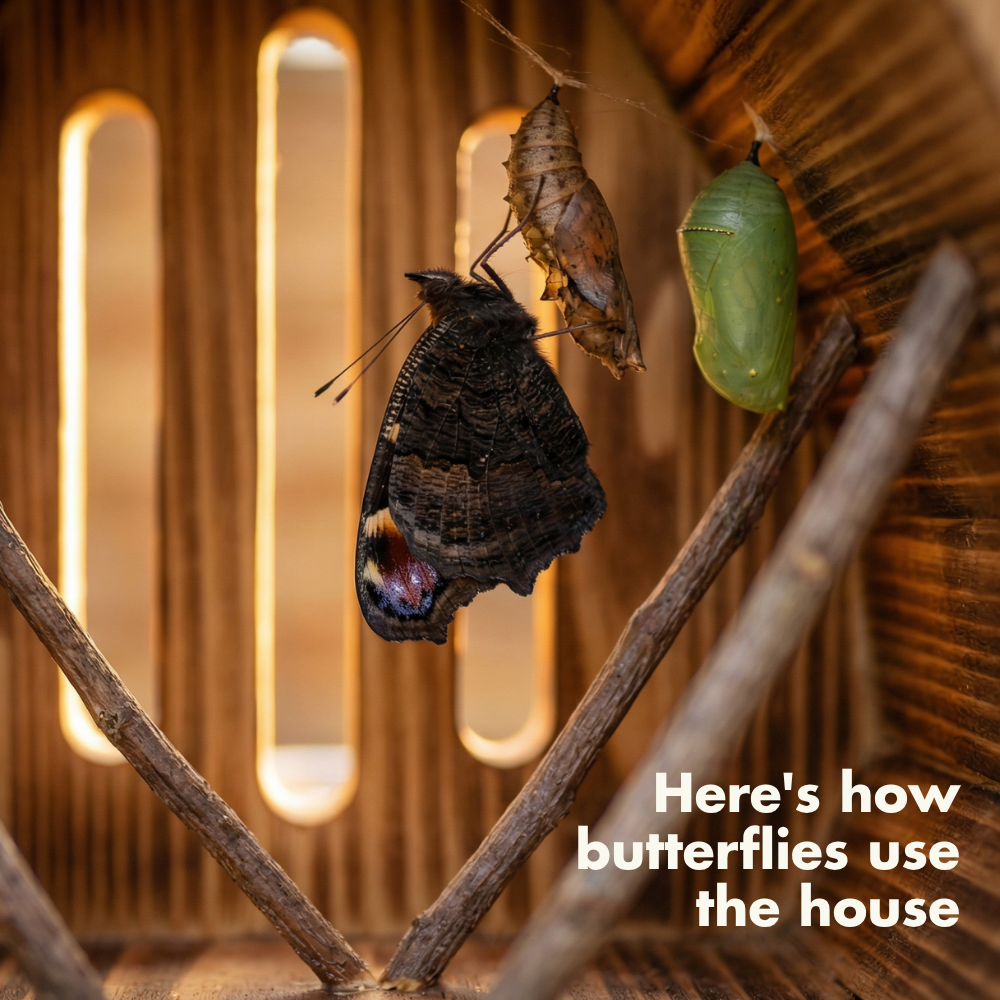 Teardrop-shaped butterfly house