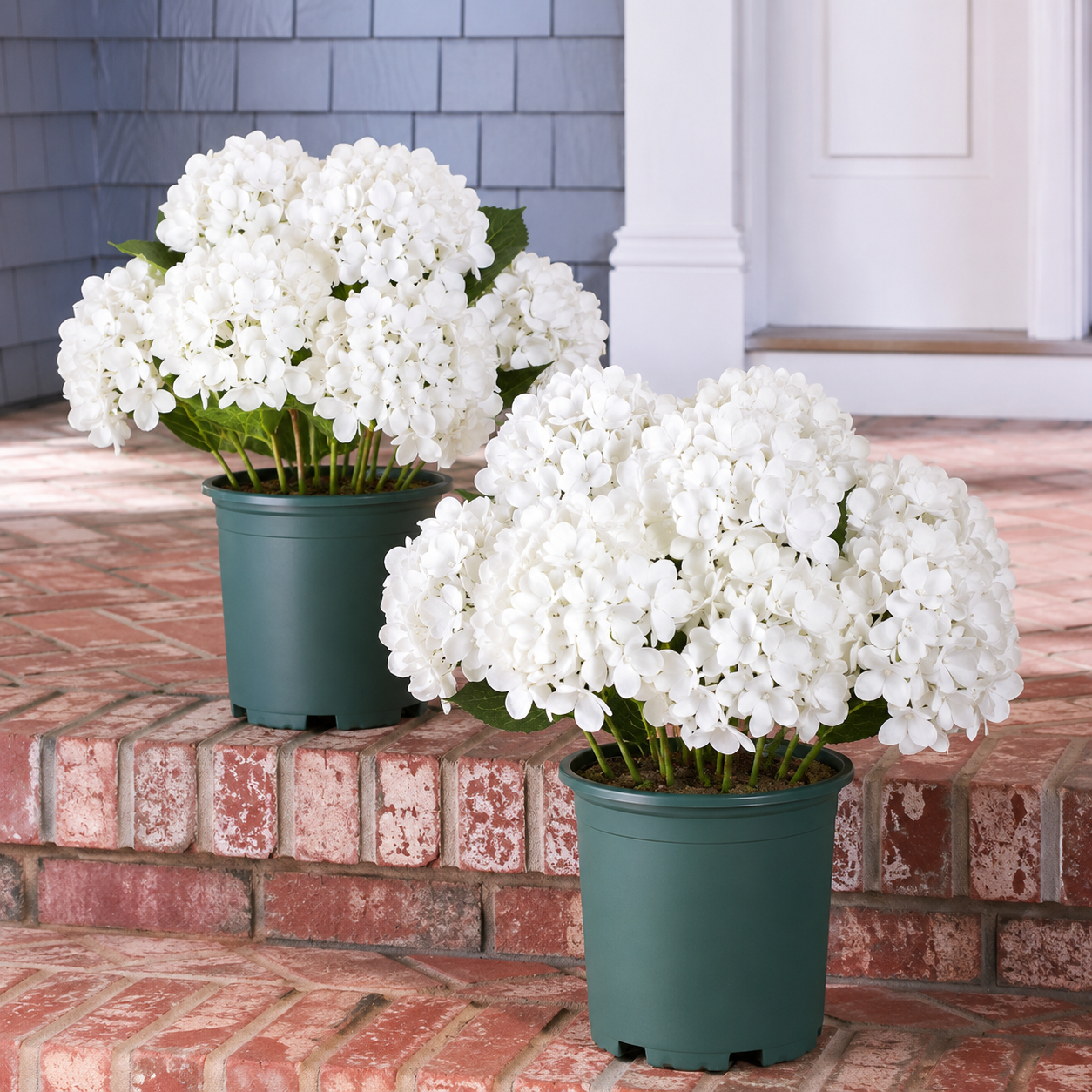 💥Last Day 70% OFF💐Artificial Outdoor Hydrangea Flowers - UV resistant, Waterproof, Windproof