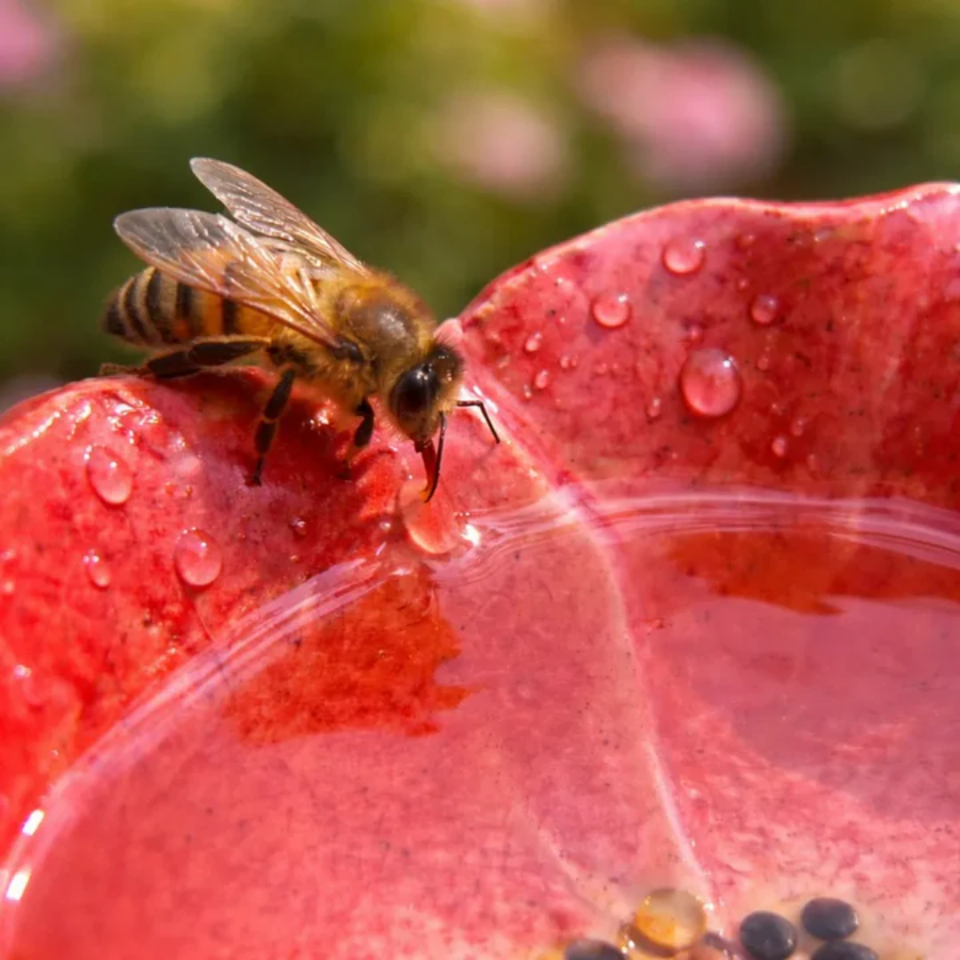  Ceramic Bee Water Stations