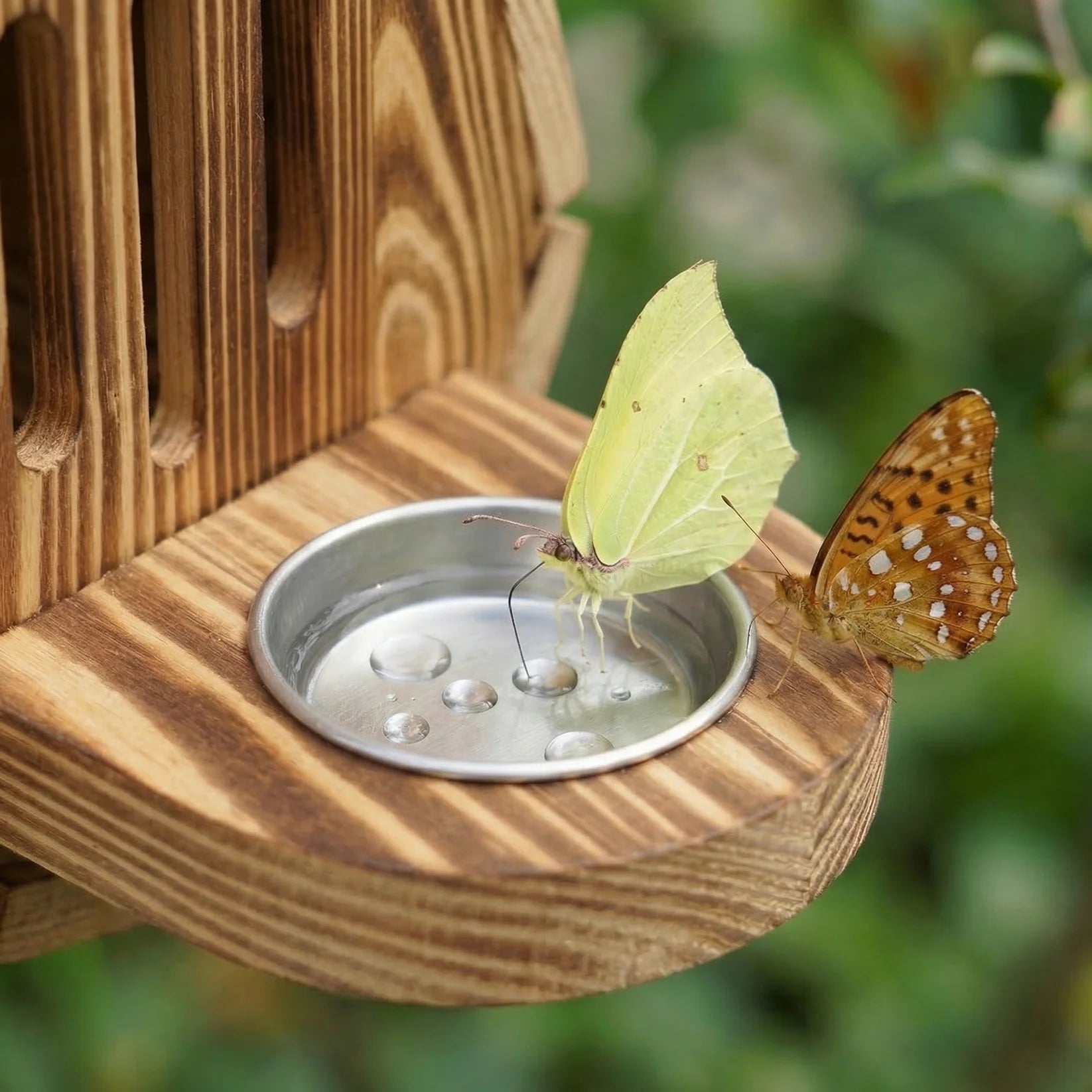  Teardrop- shaped butterfly house made from  wood