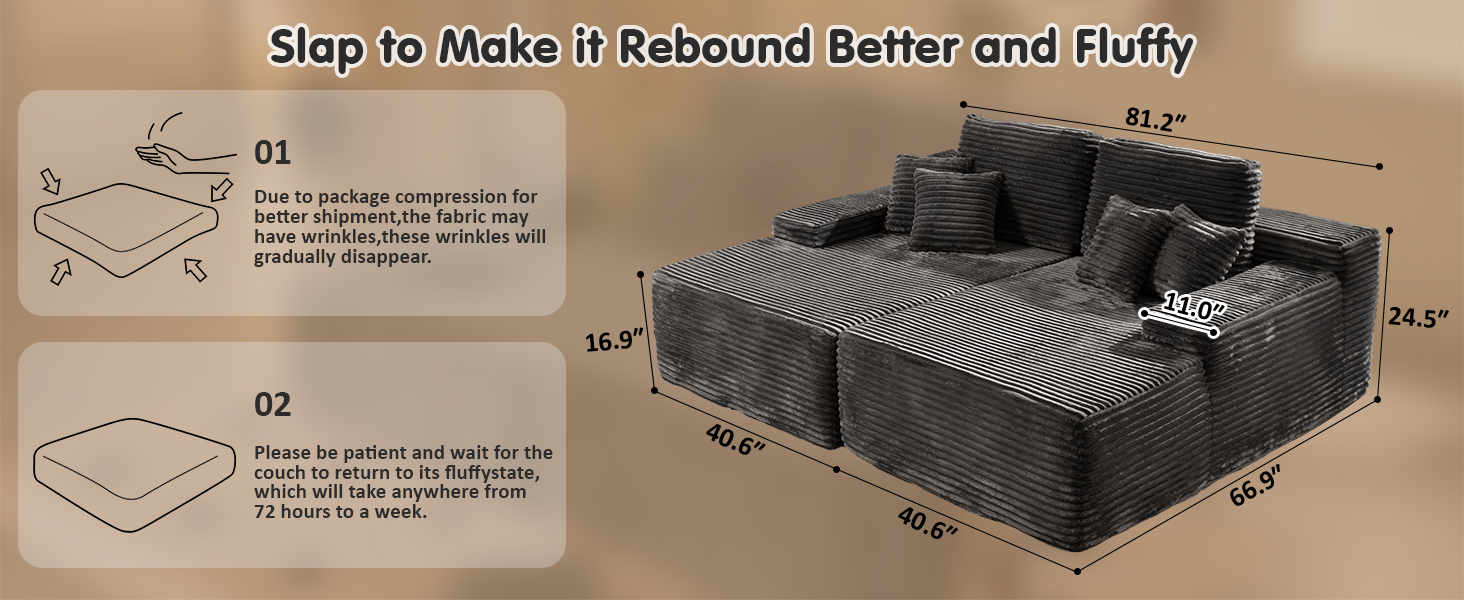 Cloud Sectional Couch with L-Shape Chaise