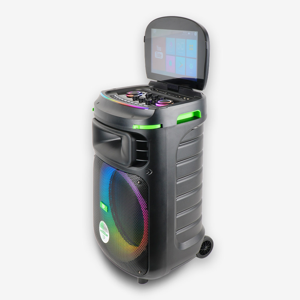 🔥Today's Special🔥High-performance all-in-one party karaoke speaker