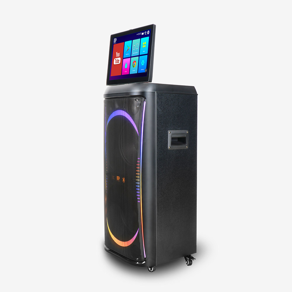 🔥Today's Special🔥High-performance all-in-one party karaoke speaker