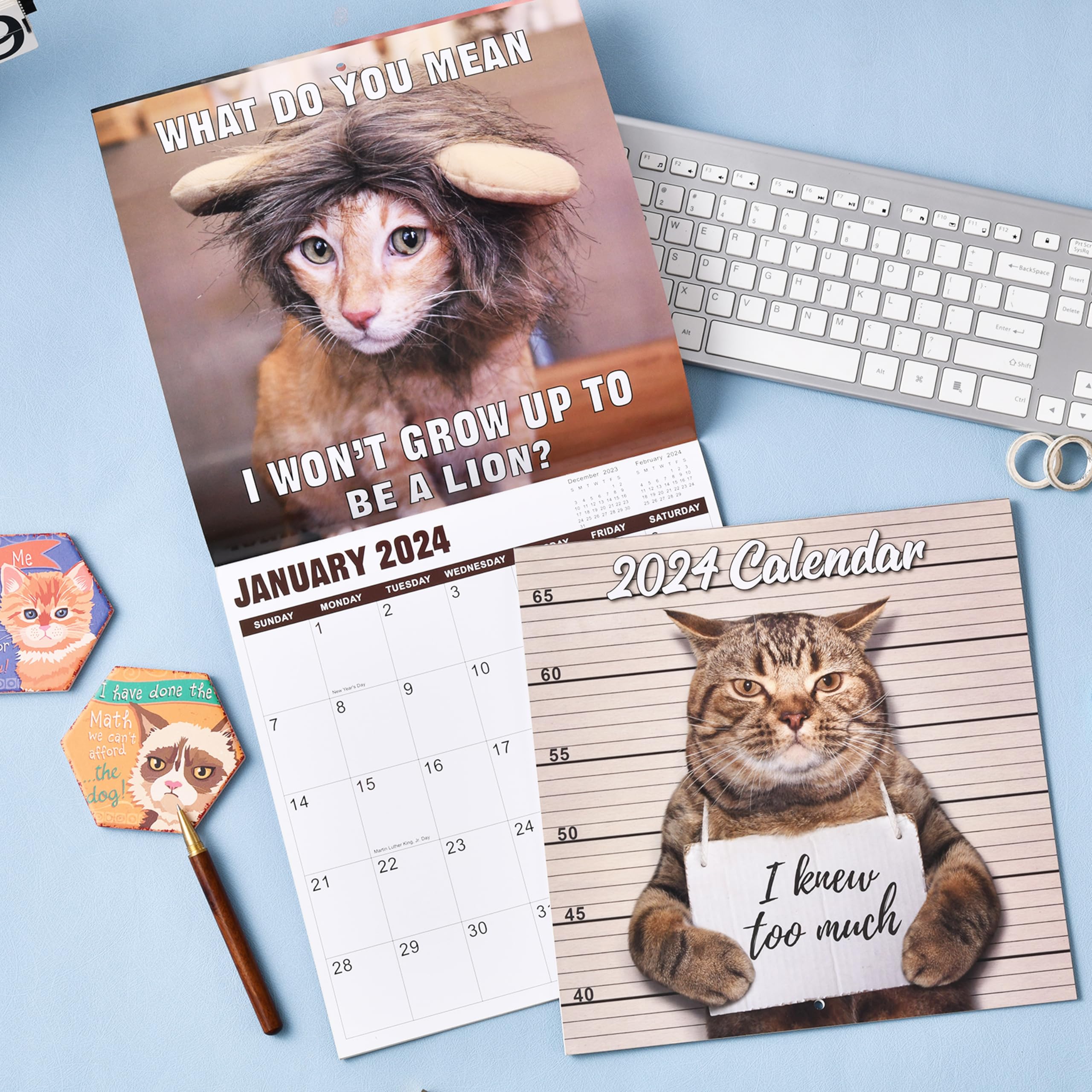 Funny Cat Calendar 2024