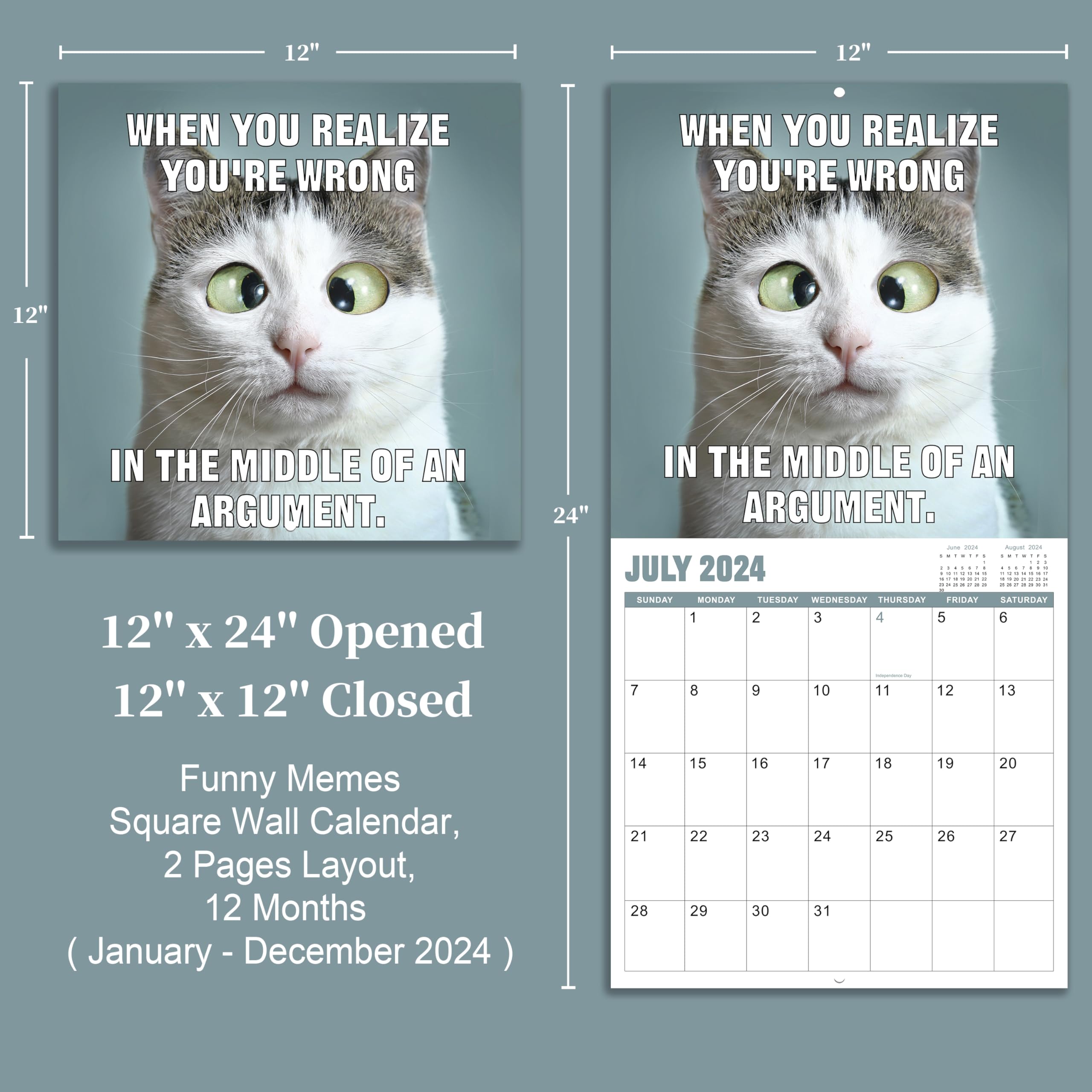 Funny Cat Calendar 2024