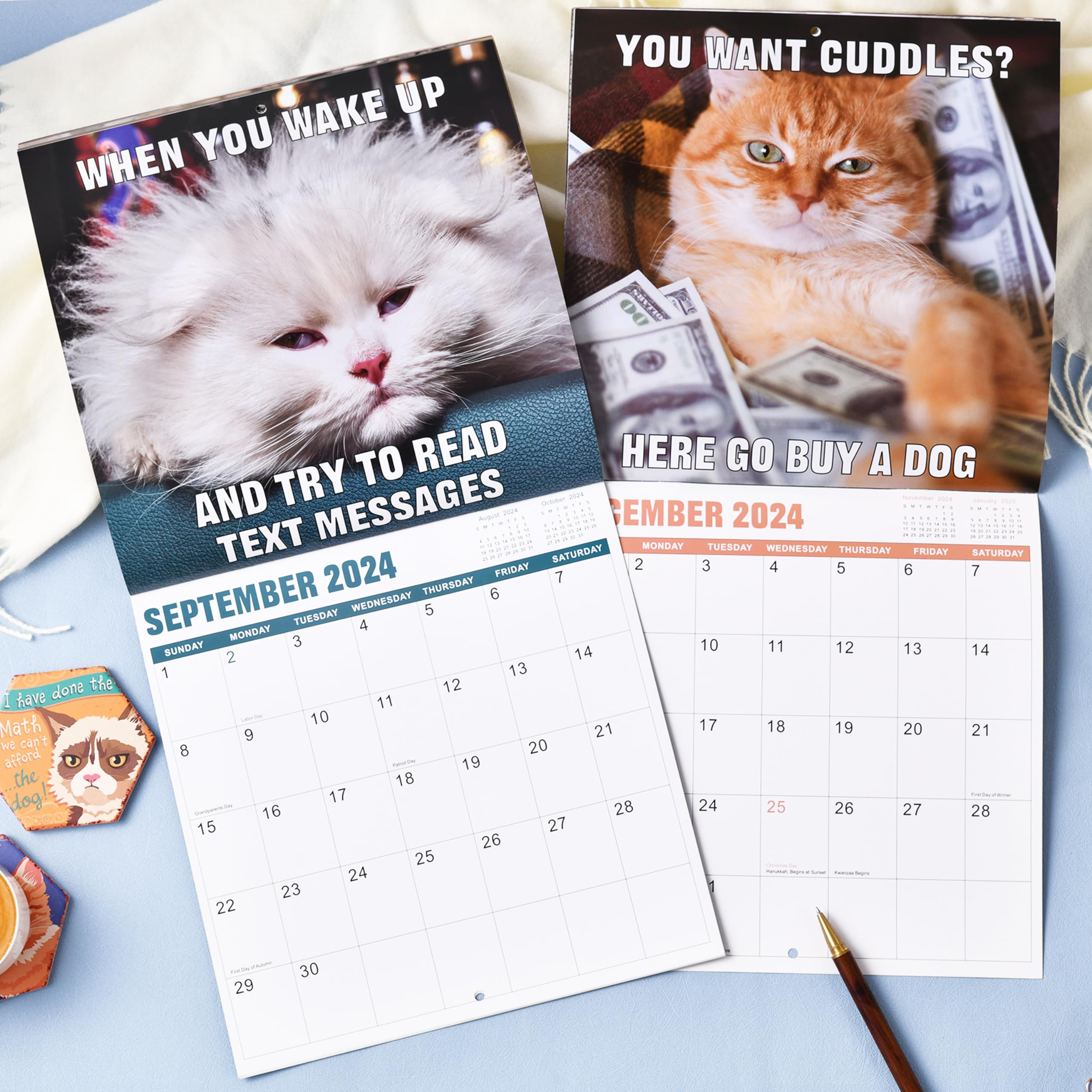 Funny Cat Calendar 2024