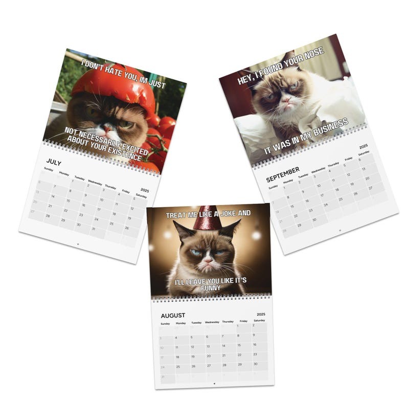 2025 funny cat calendar | angry cat calendar | funny cats
