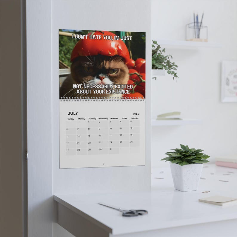 2025 funny cat calendar | angry cat calendar | funny cats