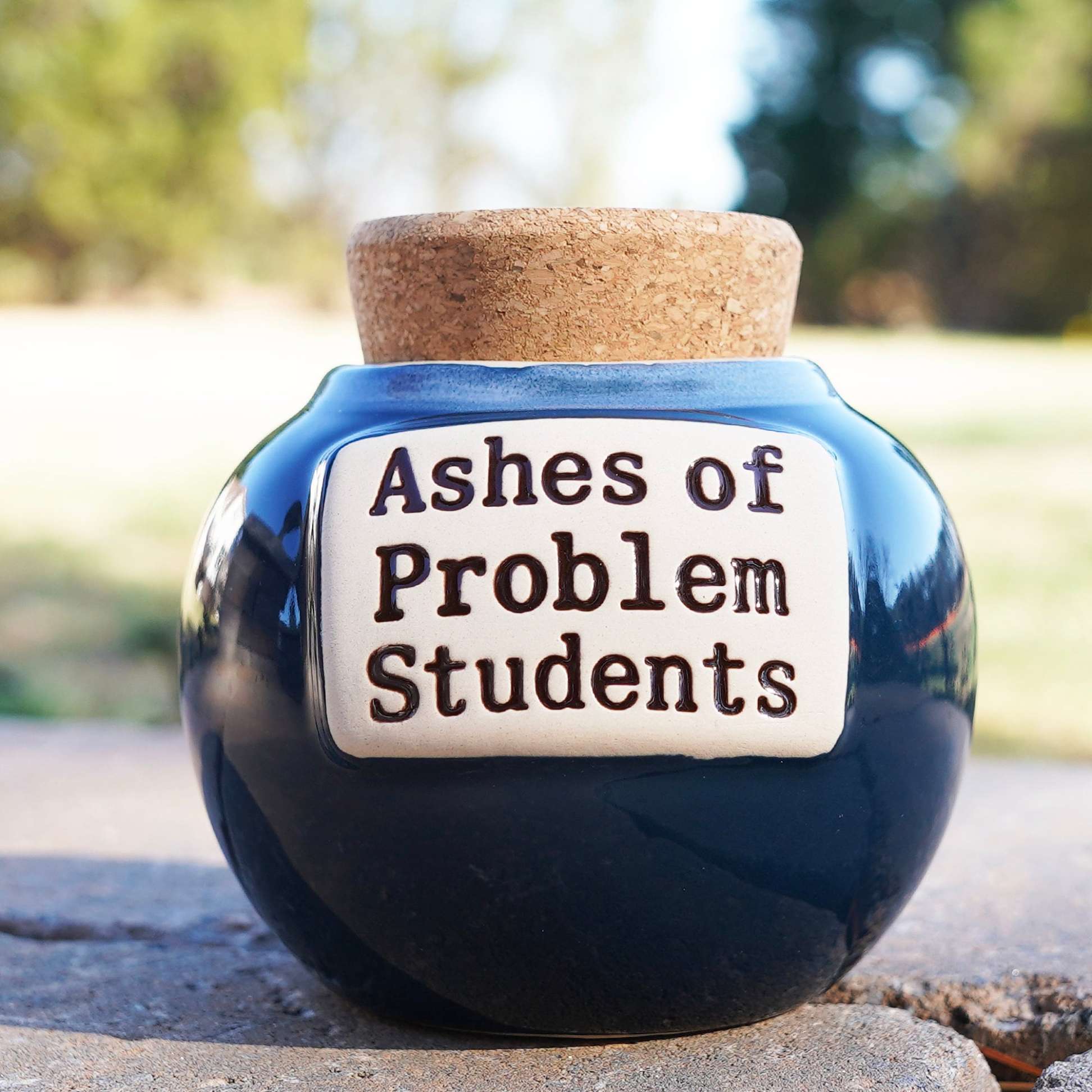 🤣Ashes of Problem Clients Piggy Bank